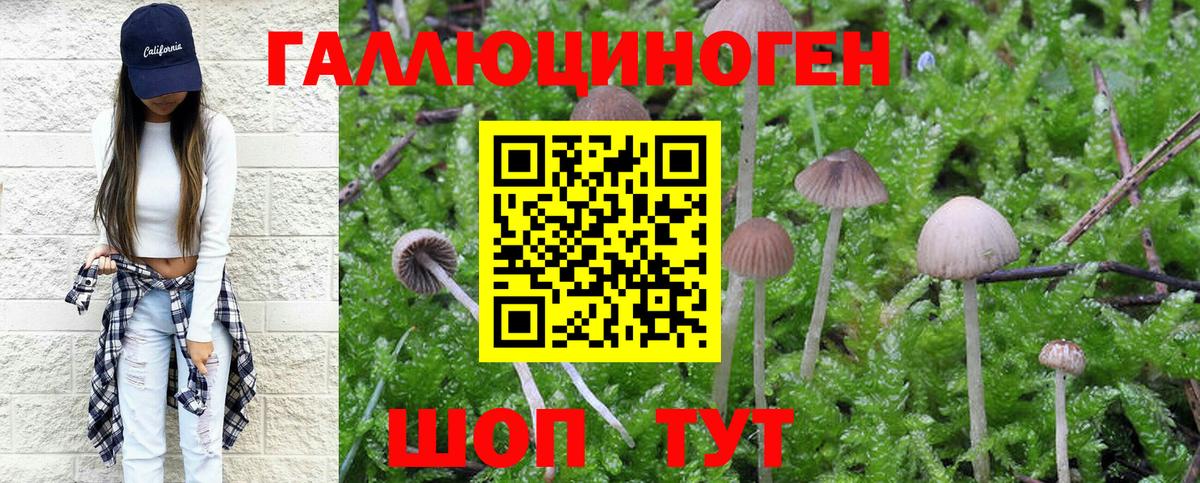 Галлюциногенные грибы ЛСД Обь